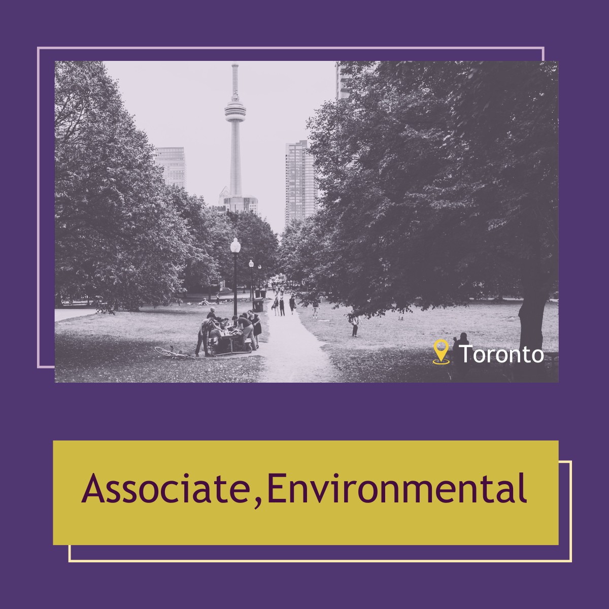 Read more about the article Associate, Environmental