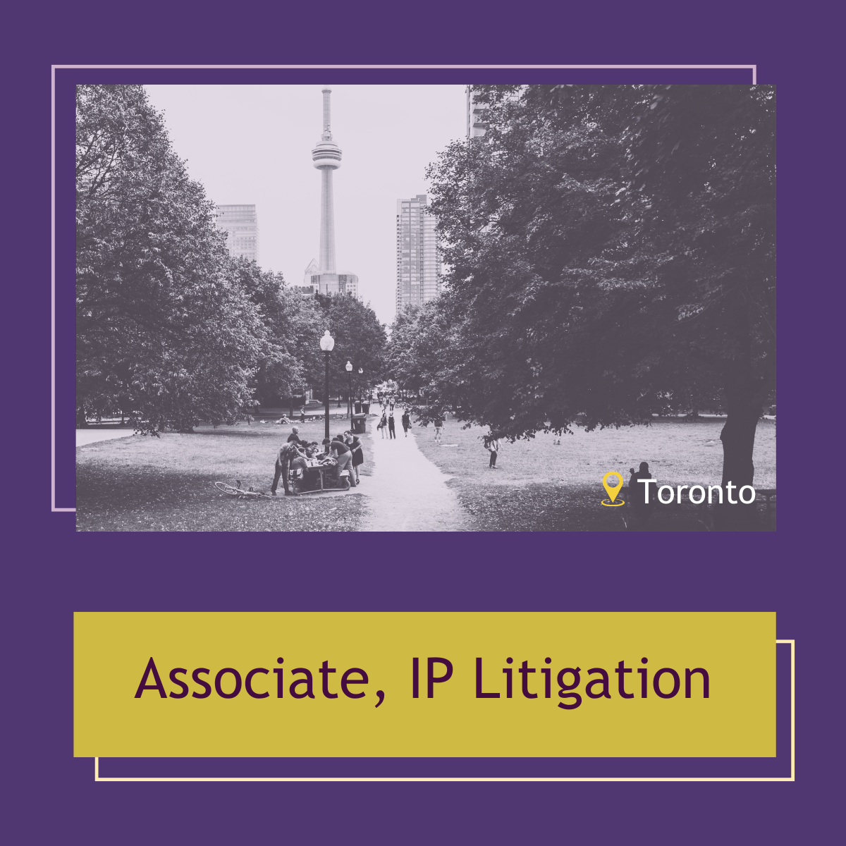 Read more about the article Associate, IP Litigation