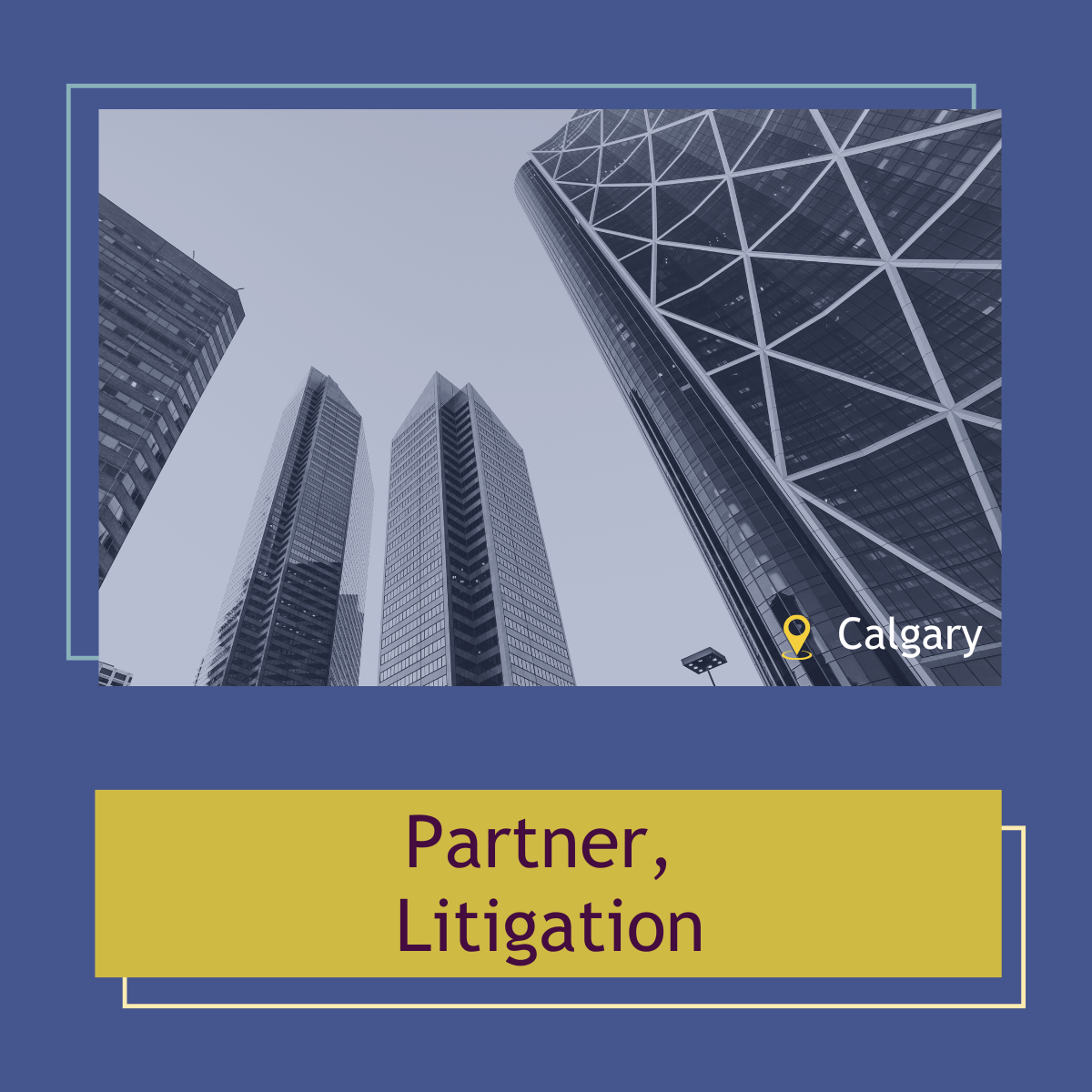 Read more about the article Partner, Litigation
