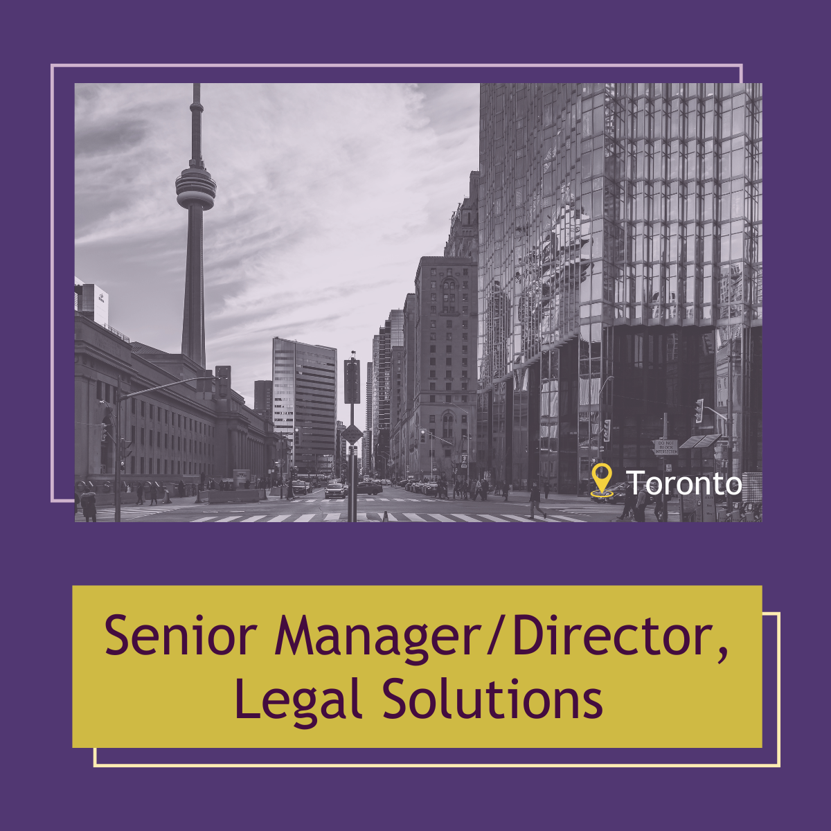 Read more about the article Senior Manager/Director, Legal Solutions
