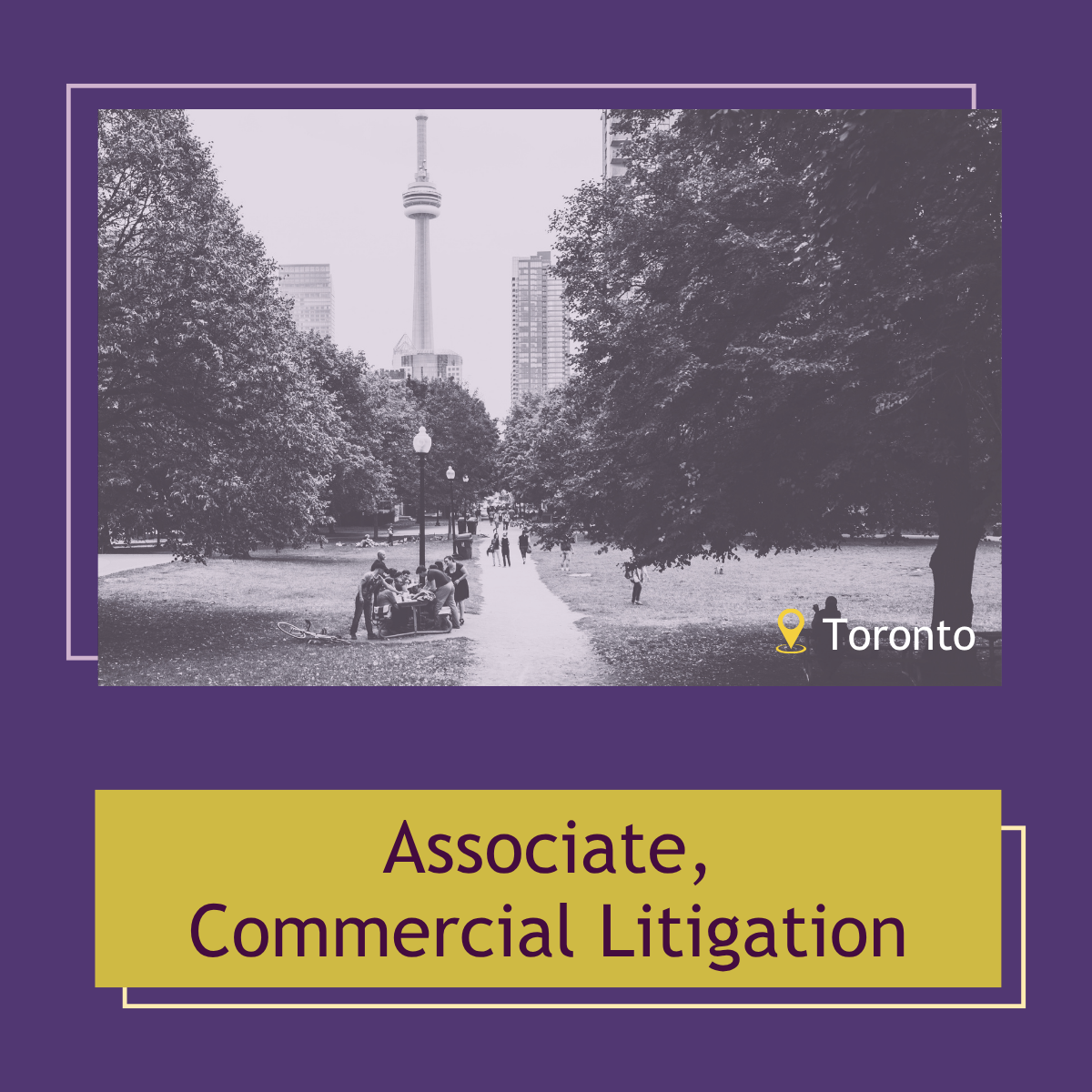 Read more about the article Associate, Commercial Litigation