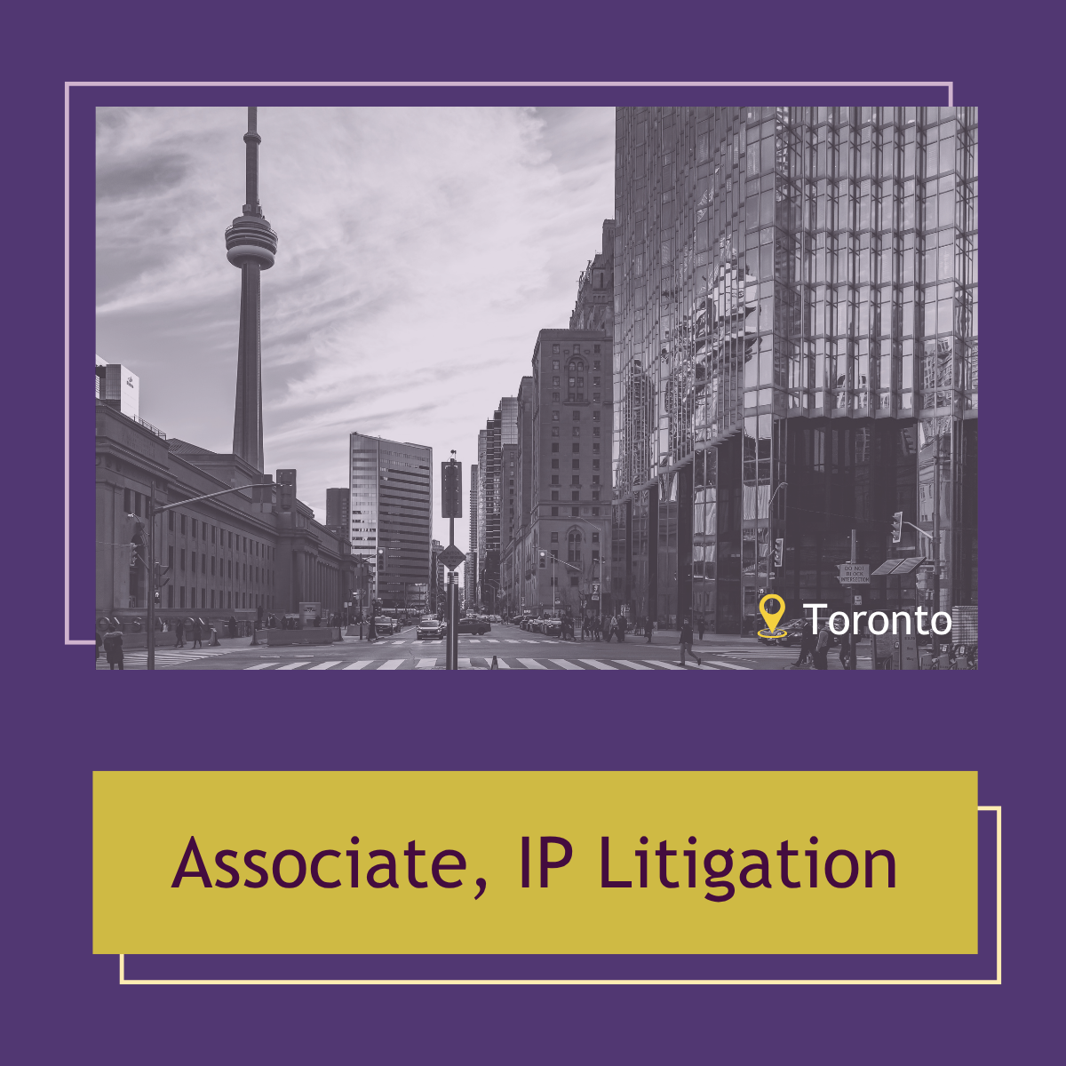 Read more about the article Associate, IP Litigation