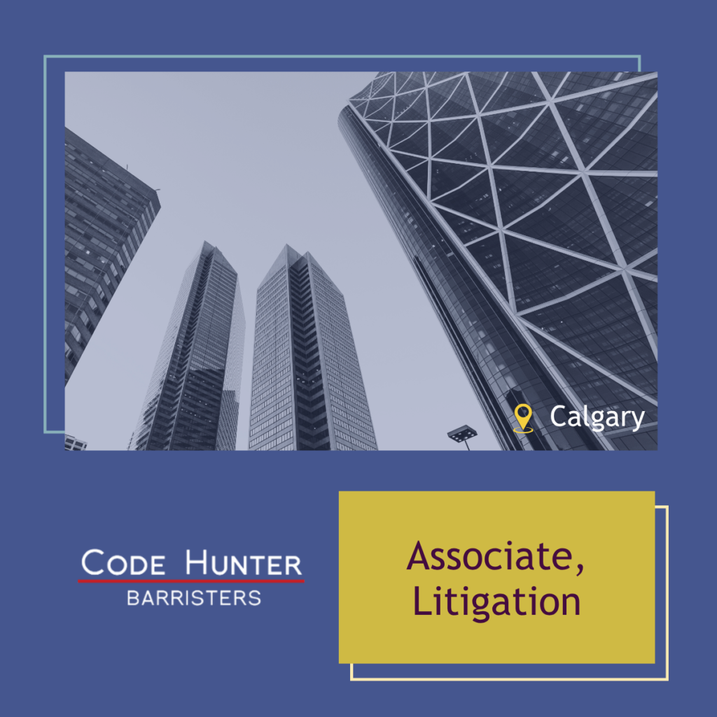 Associate, Litigation, Code Hunter LLP